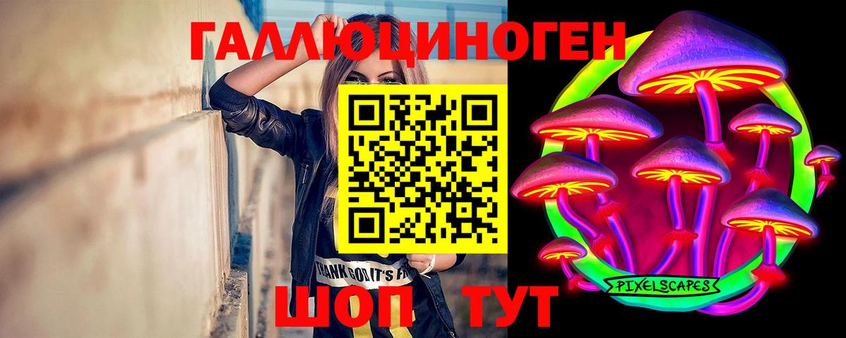 Галлюциногенные грибы Psilocybine cubensis  Вход с VPN  Чита 