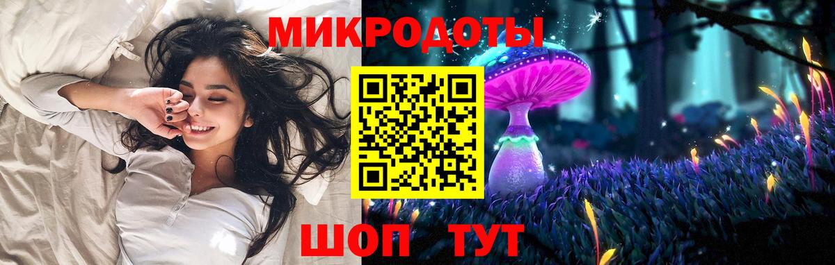Псилоцибиновые грибы Psilocybe Чита